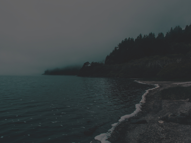 Coastal beach with foggy forest conifer trees in the background on the right of the photo and the water to the right.